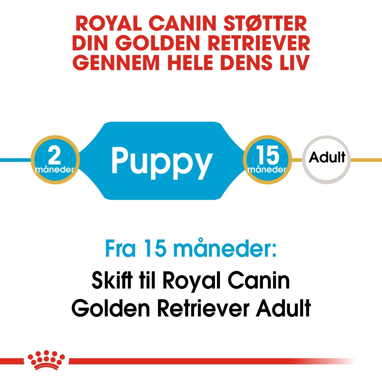 Royal Canin Golden Retriever Puppy 12 kg - tørfoder til hvalpe